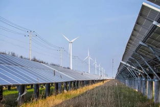 隆基股份总裁李振国 光伏发电会成为全球绝大部分地区最便宜的能源